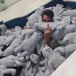 Jasper Harry - @harry.jasper_ - Instagram
