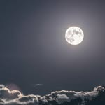 harry jean - @_harry_jean_ - Instagram