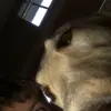 harryjolly - @harryandjolly - TikTok