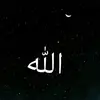 HARRYKAHN - @harry_khan__ - TikTok