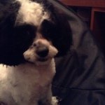 Harry Katz - @harrykatz1 - Instagram