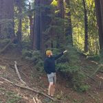 Harry Katz - @hepkatz - Instagram