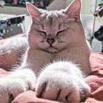 Harry Katze - @harry.katze - Instagram