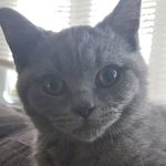 Harry Katzenberg - @harry_katzenberg - Instagram