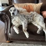 Harry Kauffman - Facebook