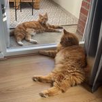@harry_keesje - Instagram