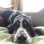 Harry Keyes - @the_harry_keyes - Instagram