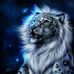 Harry Kipp - Facebook