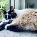 Harry Knutson - @knutsonharry - Instagram