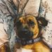 Harry Krug - Facebook