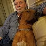 Harry Kruger - @harrykruger1234 - Instagram