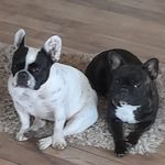 Harry Krüger - @harry_kruger_bohnert - Instagram
