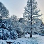 Harry Kruger - @harrykruger123 - Instagram