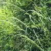 Harry - @harry.ladd457 - TikTok