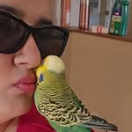 Laddu in 🇨🇦 - @harry_laddu01 - Instagram