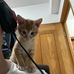 Harry Lam - Facebook