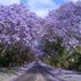 Harry Lam - Facebook