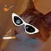 Harry Langley - Facebook