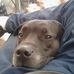 Harry Langley - Facebook