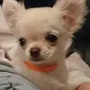 Harrylaw - @harrylaw211 - TikTok