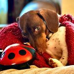 Harry Lear - @harry.lear1 - Instagram