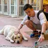 harry Lee chan - @harry.lee.chan - TikTok