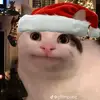 Lemon_19 - @harry.lemon.99 - TikTok