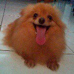 Harry Lesmana Liem - @liem1983 - Instagram