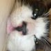 Harry Letts - Facebook