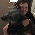 Harry Levine - @harry_levine225 - Instagram