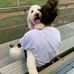 Babe Ruth Harry Lewin Field - Facebook