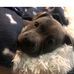 Harry Lewin - Facebook