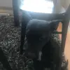 harrylindekrantz - @harrylindekrantz - TikTok