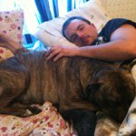 Harry Lindquist - @vburgfun - Instagram