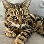 Harry Littlefield - @harrylittlefield - Instagram