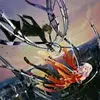 Lok.harry - @lok.harry - TikTok