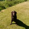 Harry lovell - @harrymoo1425 - TikTok