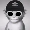 Harry Lovell - @harrylovell85 - TikTok