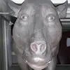 harrylovell11 - @harrylovell11 - TikTok
