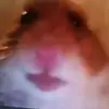 Harry Lower - @harrylower0 - TikTok