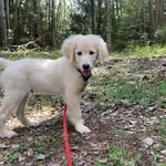 @harry_luffe - Instagram