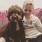 Harry Luke - @harryluke2008 - Instagram