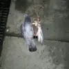 Harry Lundy - @harry.lundy - TikTok