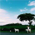 吴失安 - @harry_luu - Instagram