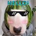 Harry Luu - Facebook