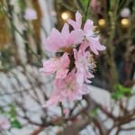 Harry Luu - @harry.luu.779 - Instagram