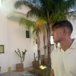 Harry Lyle - @harrylyle_ - Instagram