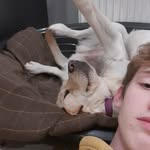 @harrylyles_ - Instagram