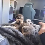 Harry Lyman - @harrylyman08 - Instagram