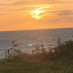 Harry Lynn - @harrylynn311 - Instagram